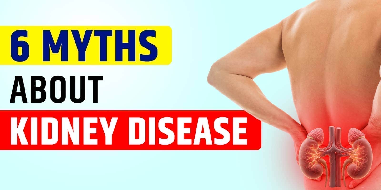 6 Myths about Kidney Disease